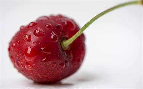 Oct 24, 2023 · With its deep red hue and slightly tart flavor, the North Star cherry is an impeccable fruit. Interestingly enough, this type of cherry was only introduced 72 years ago (via Johnson's Nursery Inc 